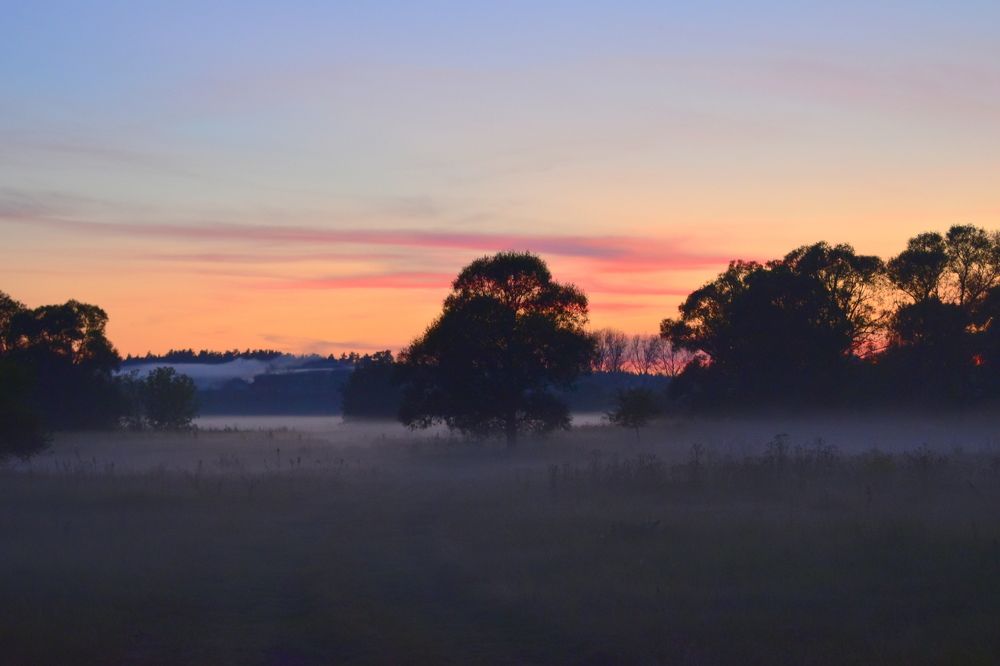 Летний вечер.
