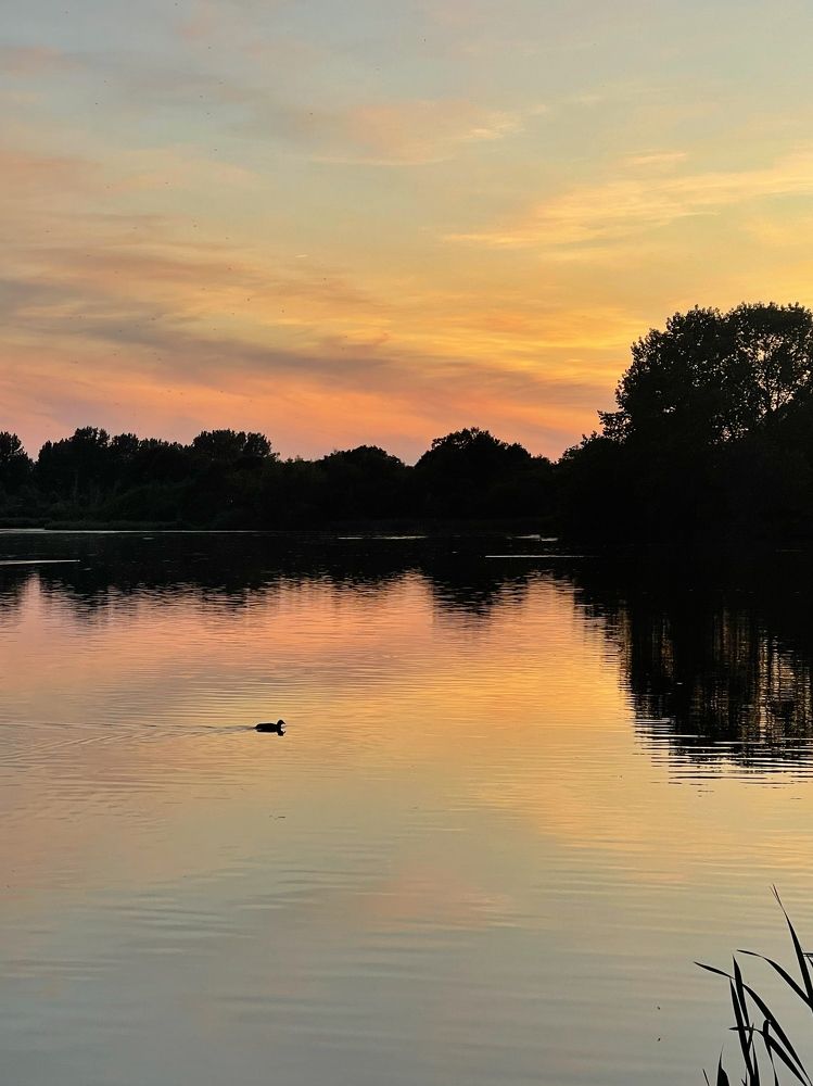 Photograph by Lila Sabbaghian Rad