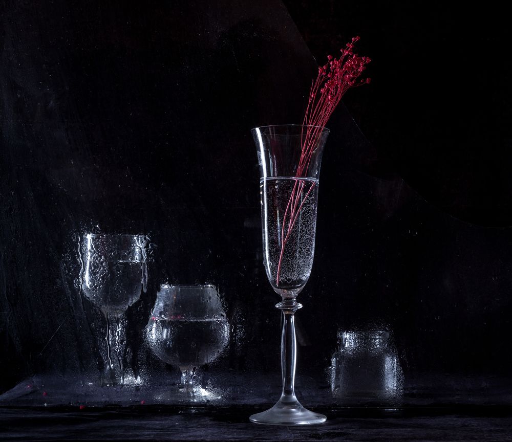 Photograph by Ekaterina Berendykhina