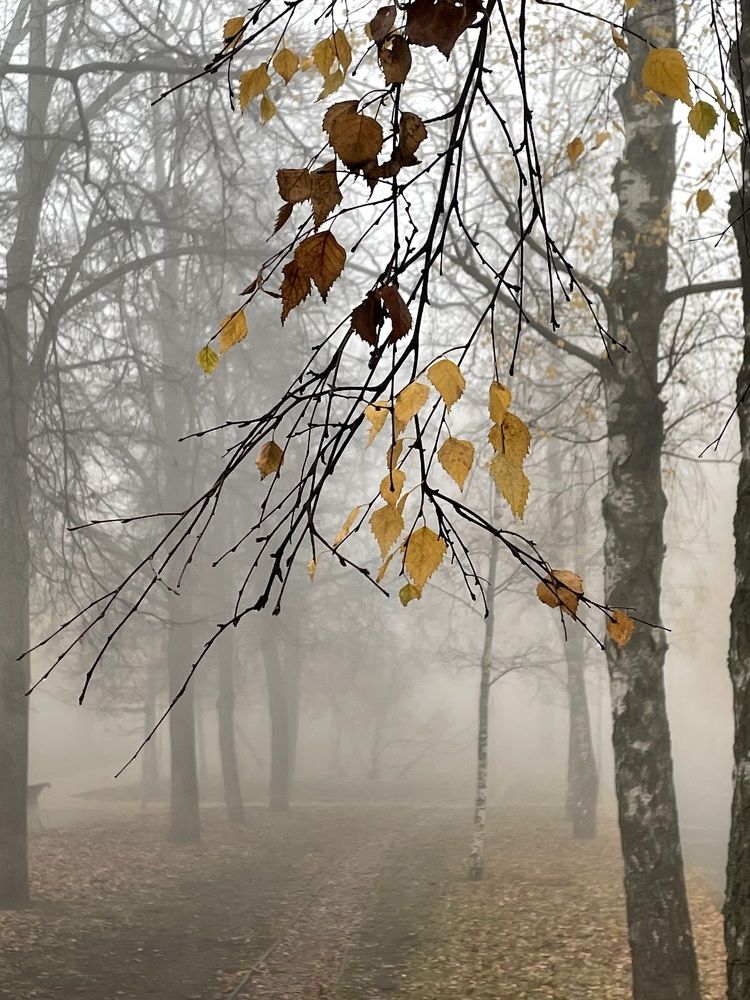 Photograph by Елена Станькова