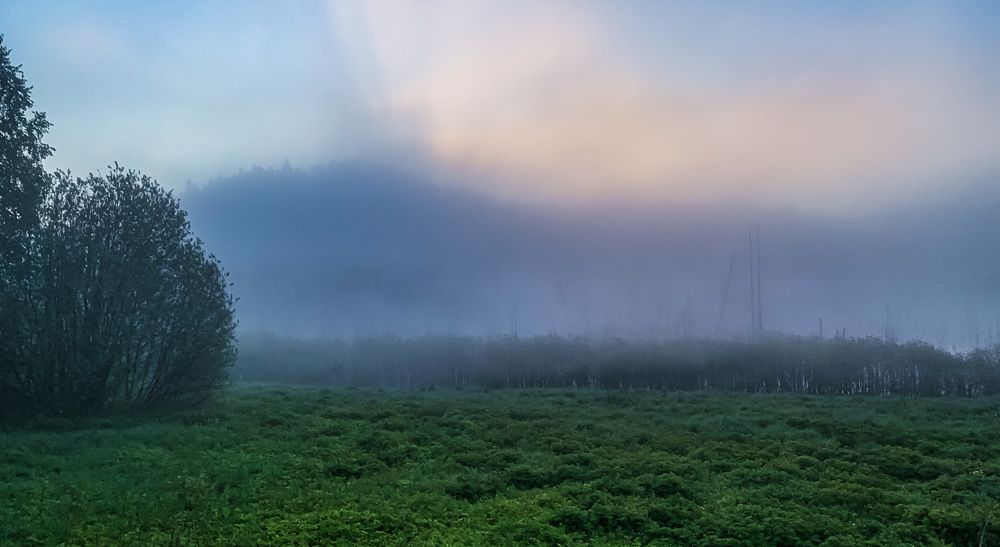 Photograph by Максим Комиссаров