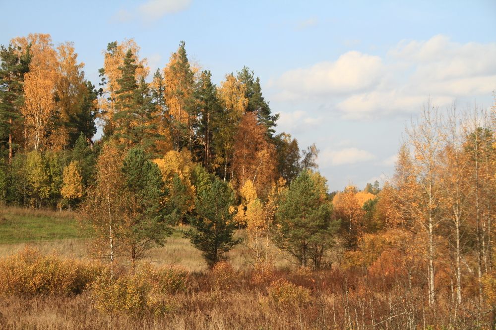 Фотография автора Анастасия Зверева