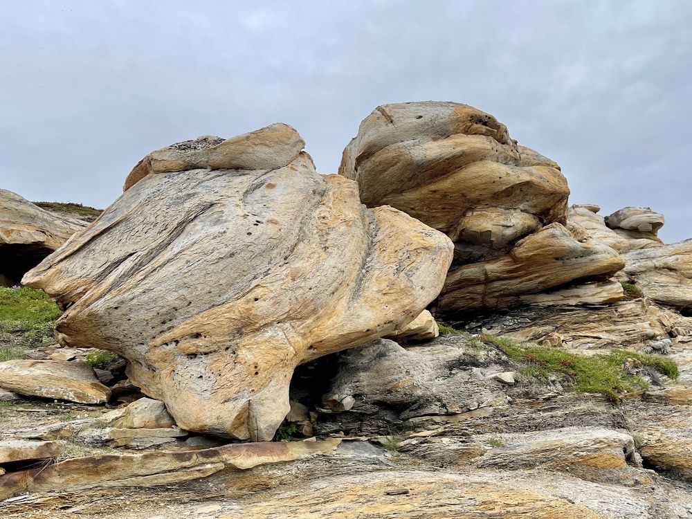 Фотография автора Юлия Шумейко