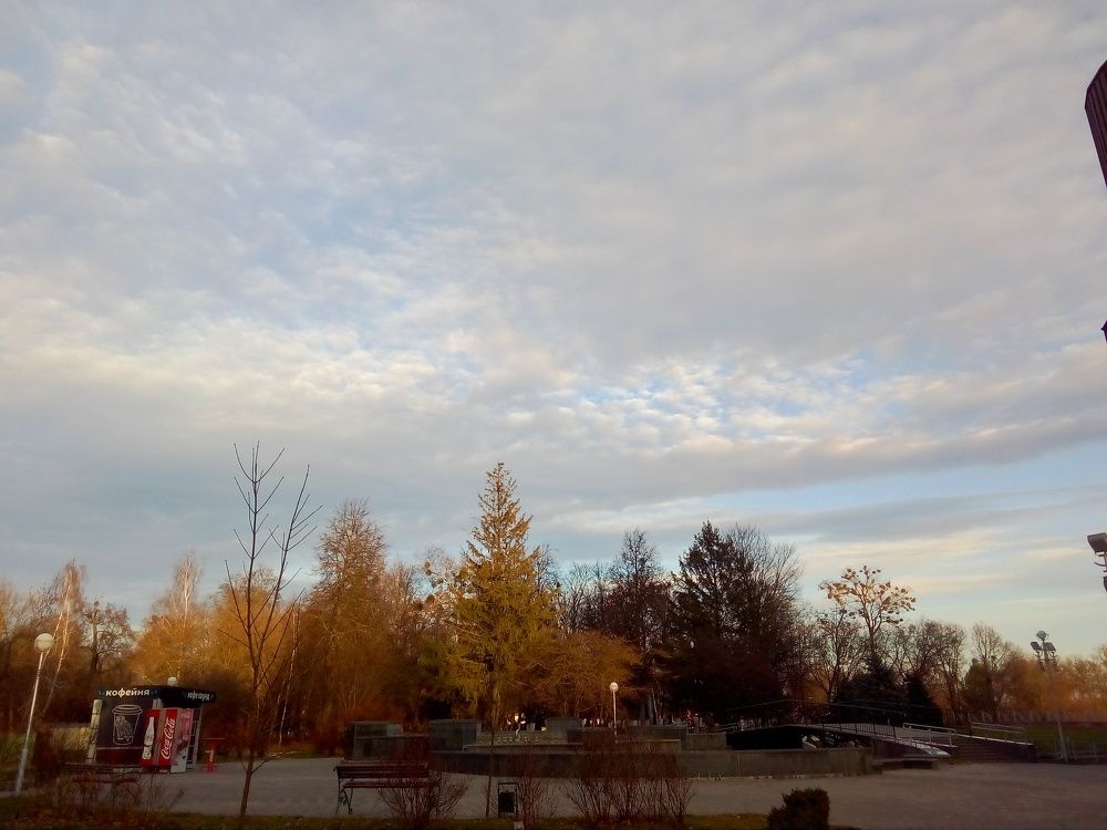 Photo #6737312