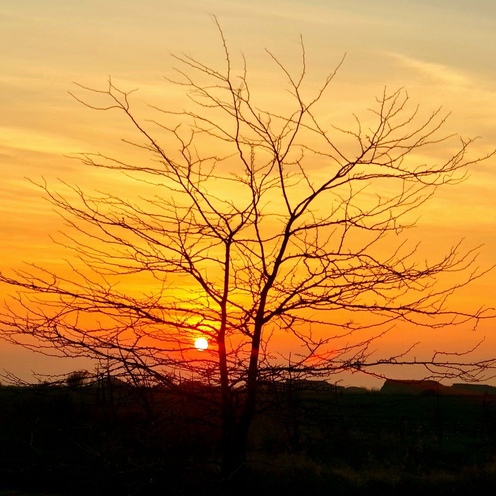 Photograph by Сергей Мамалюк