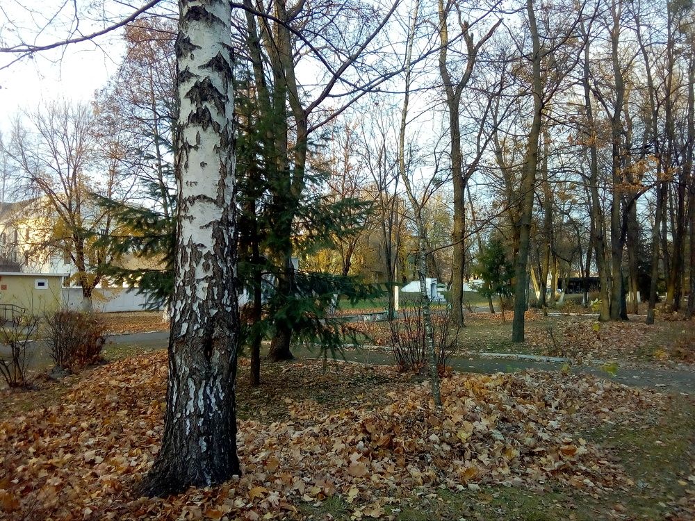 Photo #6737326