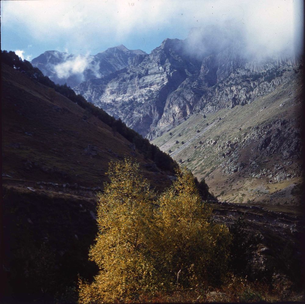 Photograph by Заурбек Шахмурзаев