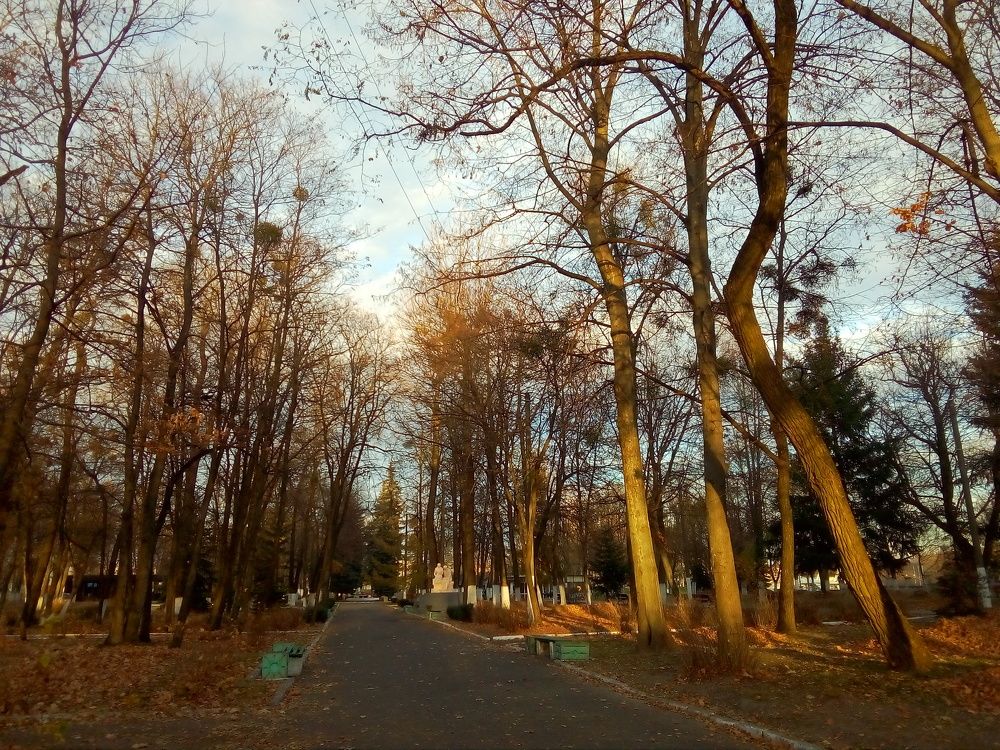 Photo #6737351