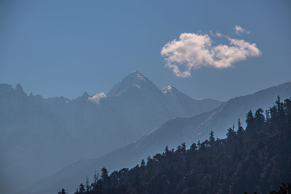 Photograph by Susobhan Biswas