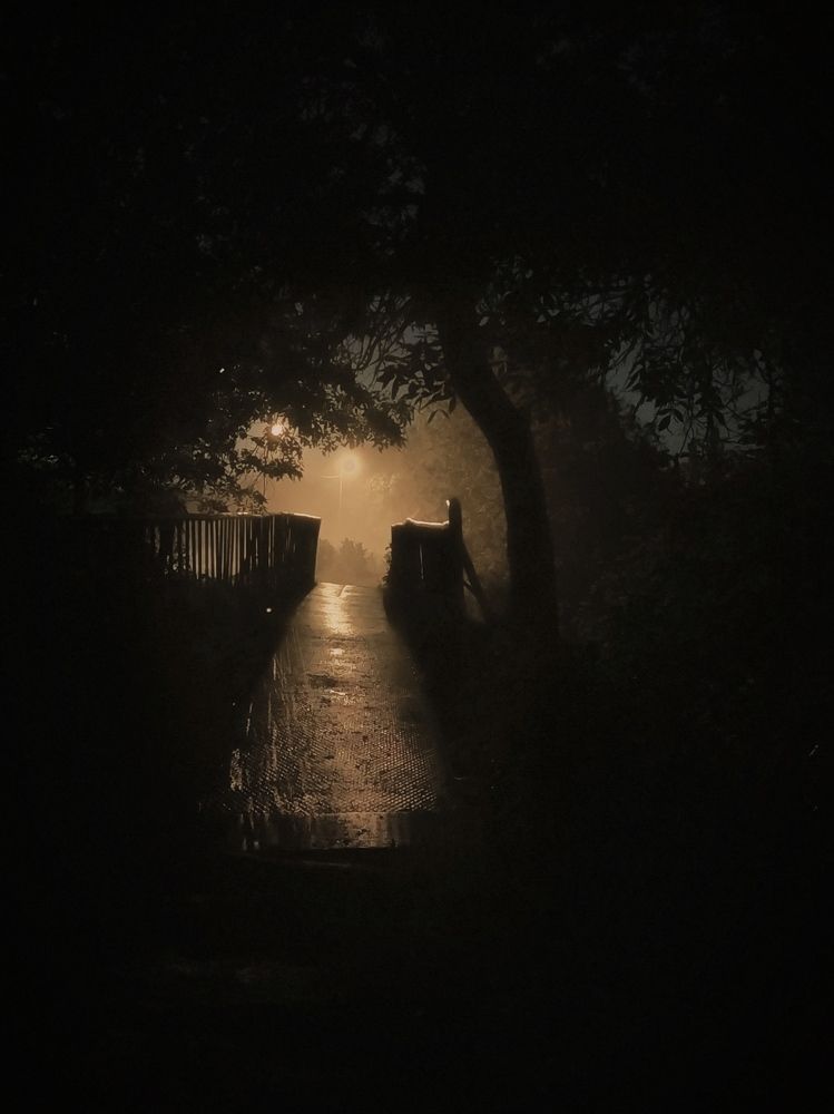 Фотография автора Наталья Алексеева