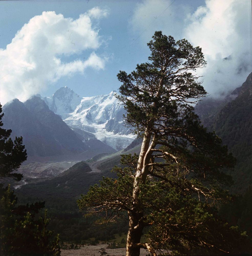 Photograph by Заурбек Шахмурзаев