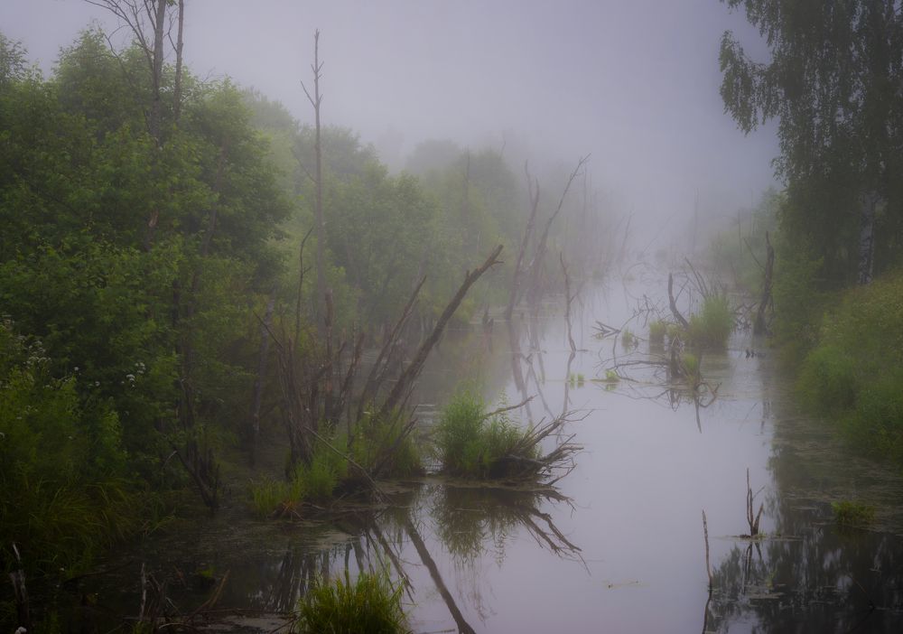 Photograph by Валентин Завьялов