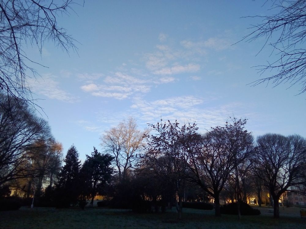 Photo #6737379