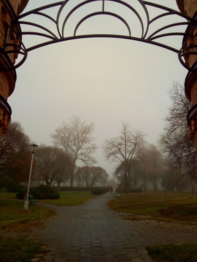 Photo #6737385