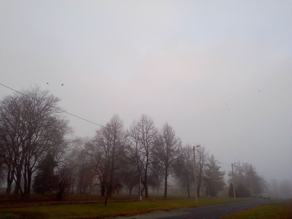 Photo #6737403