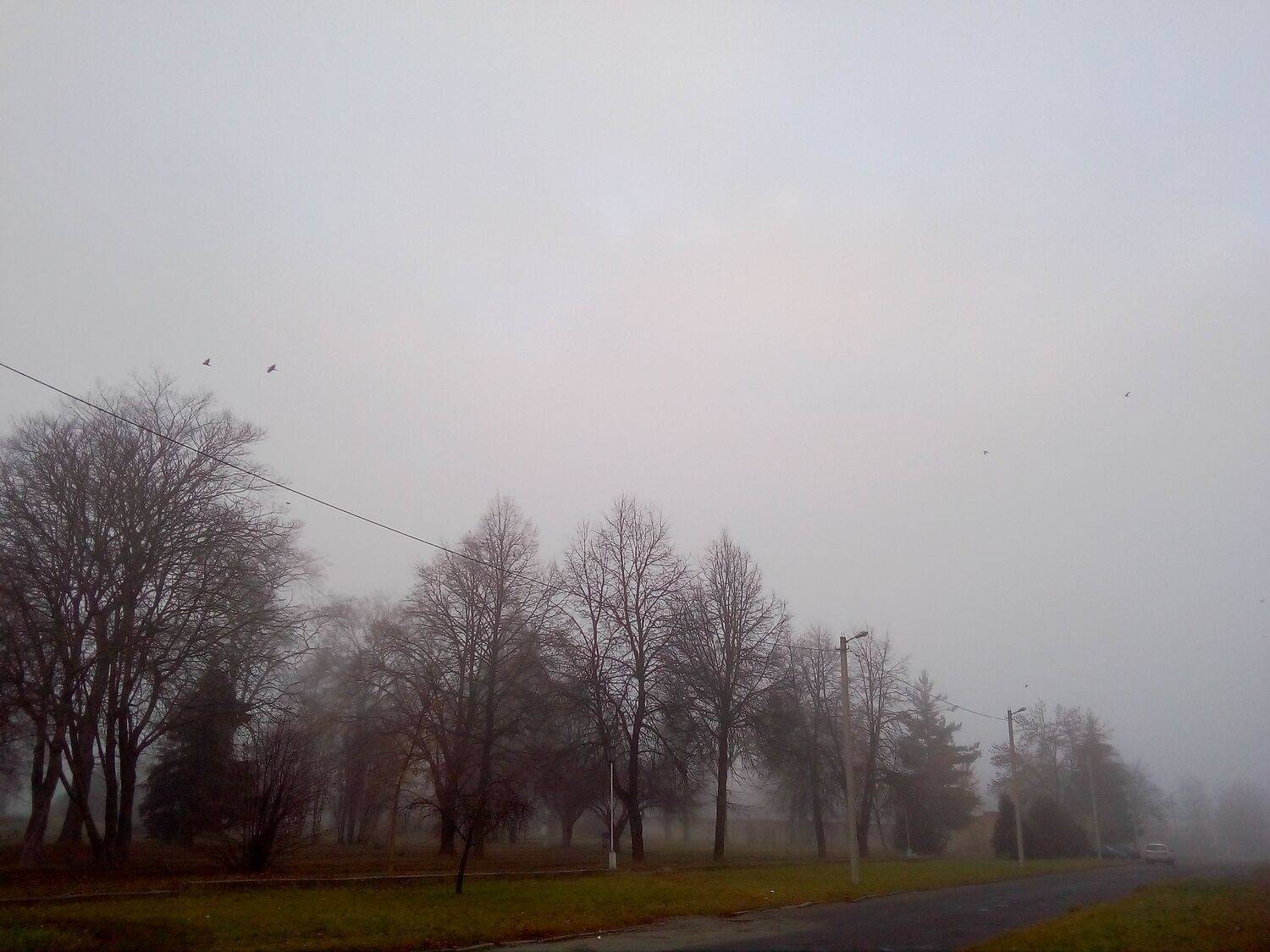 Photo #6737403