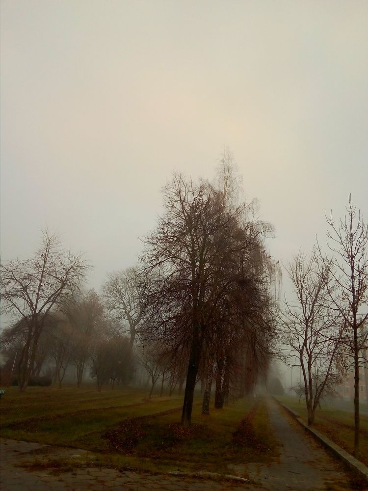 Photo #6737411