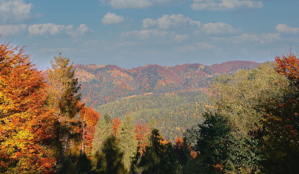 Photograph by Serhij Kharchenko