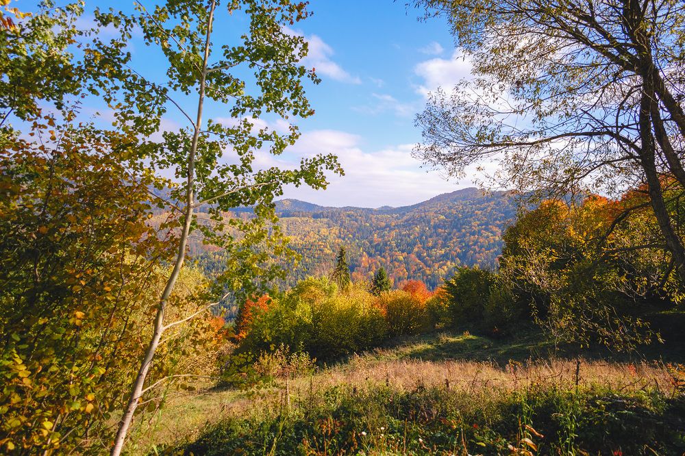 Photograph by Serhij Kharchenko