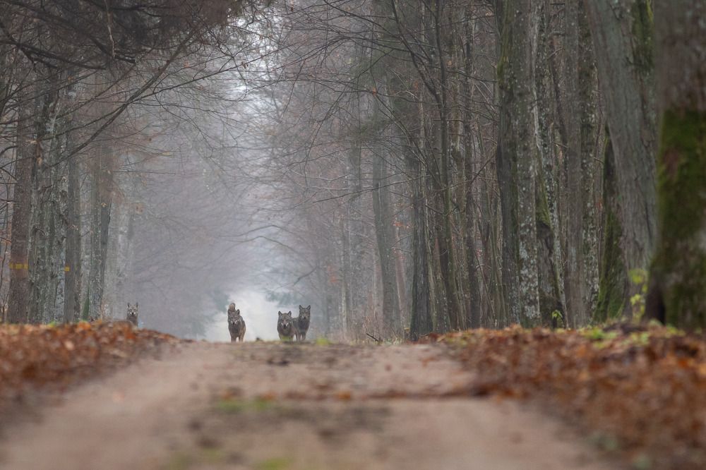 Photograph by Marcin Zakrzewski