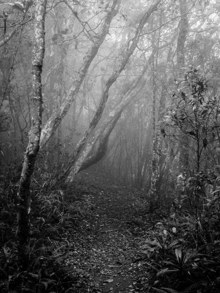 Photograph by Edwin Mijares