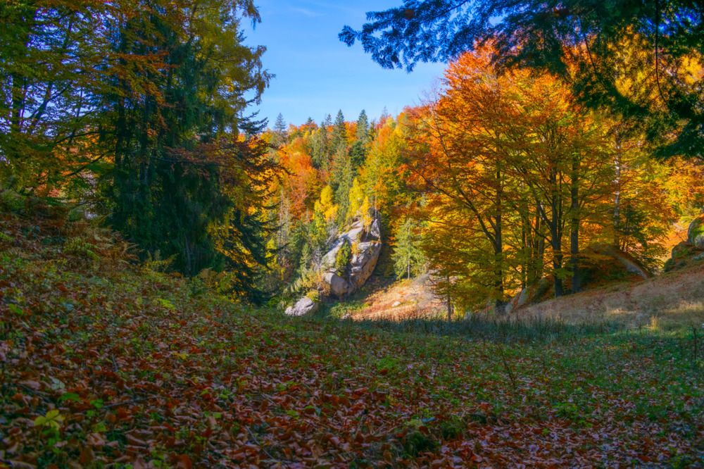 Photograph by Serhij Kharchenko