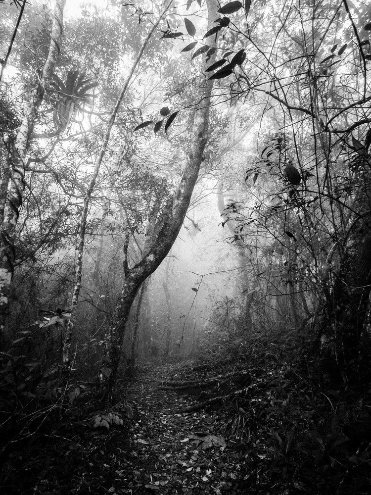 Photograph by Edwin Mijares