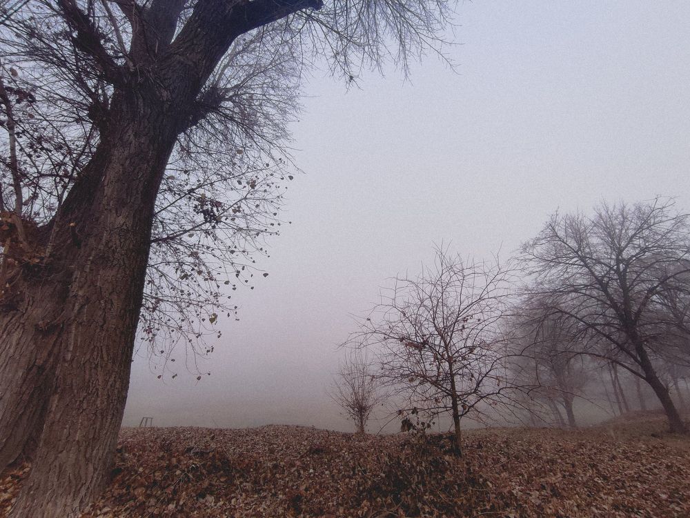 Photograph by Валерия Гончарова-Горобченко