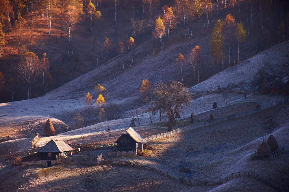 Photograph by Ceausescu Adriana