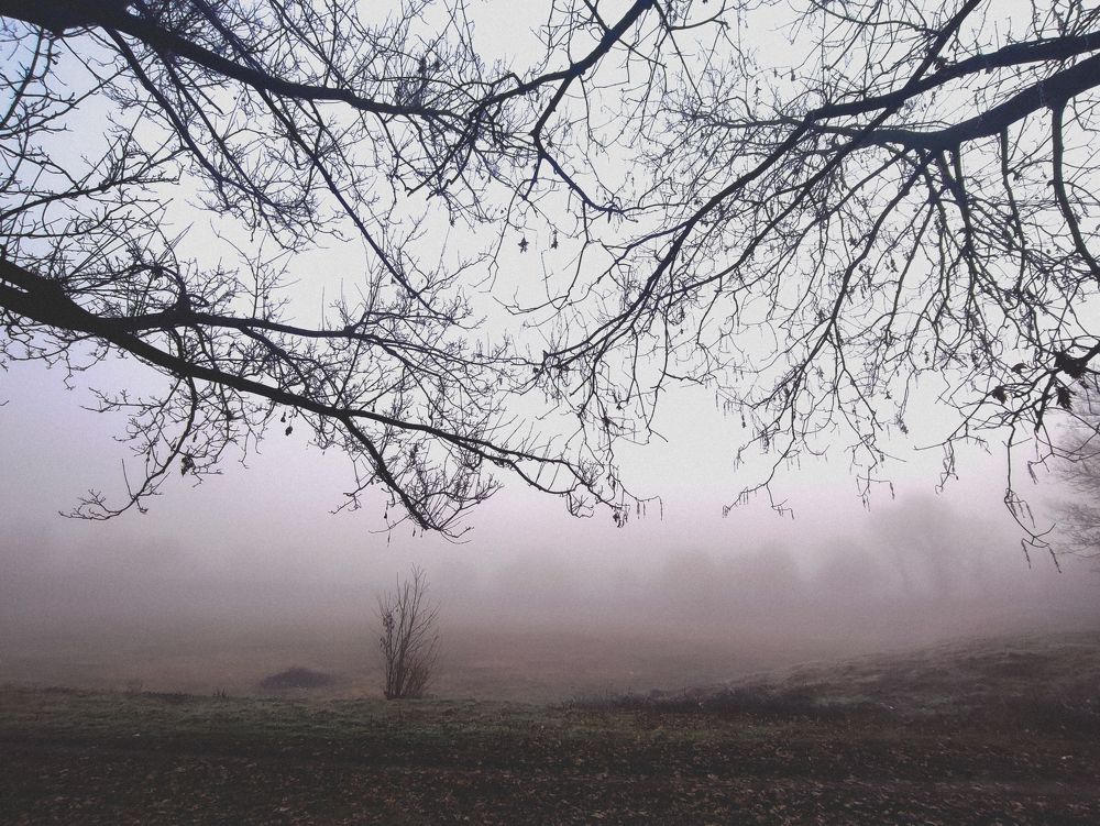 Photograph by Валерия Гончарова-Горобченко