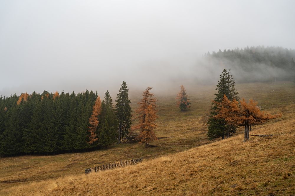 Photograph by Zhanna Pirstinger