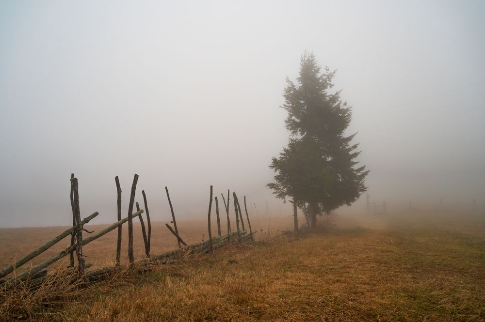 Photograph by Zhanna Pirstinger