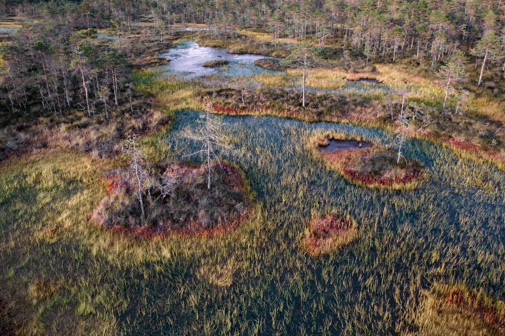 Photograph by Evgeny S