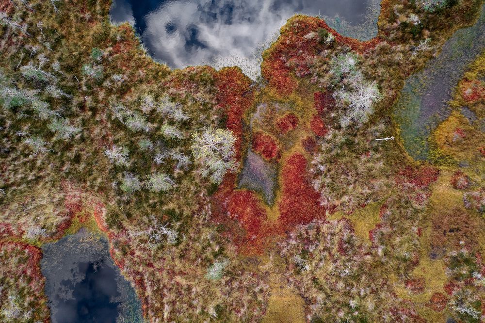 Photograph by Evgeny S