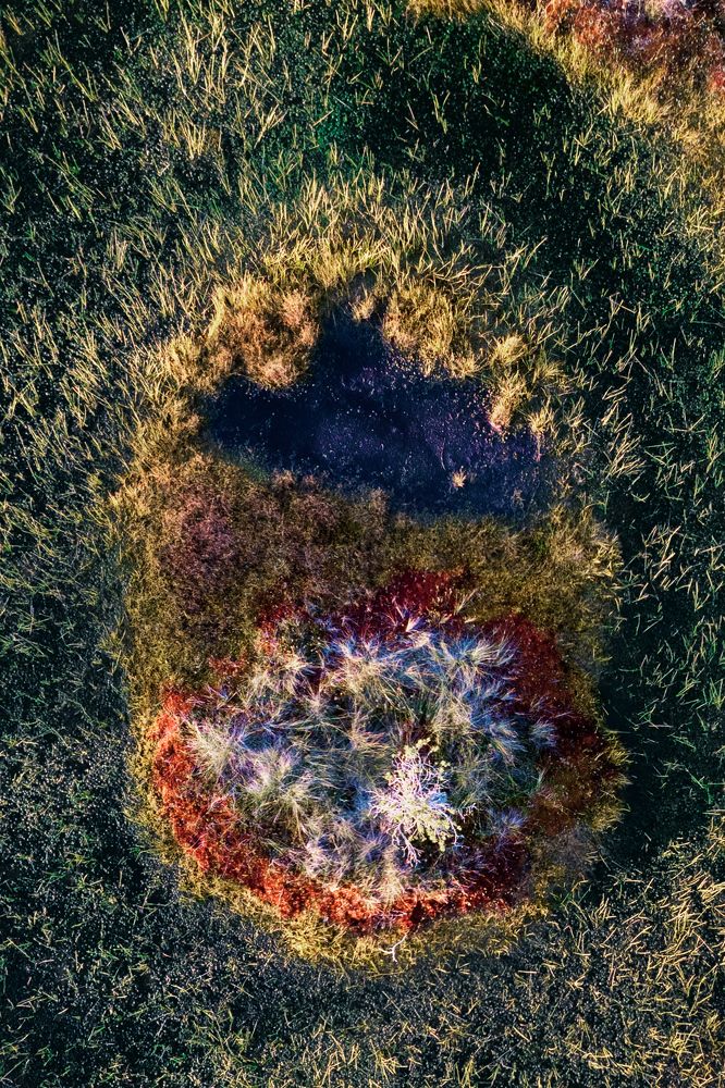 Photograph by Evgeny S