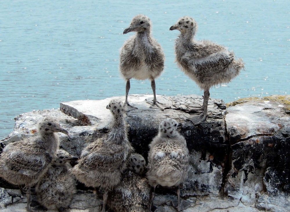 Photograph by София Гавриловна Вотякова