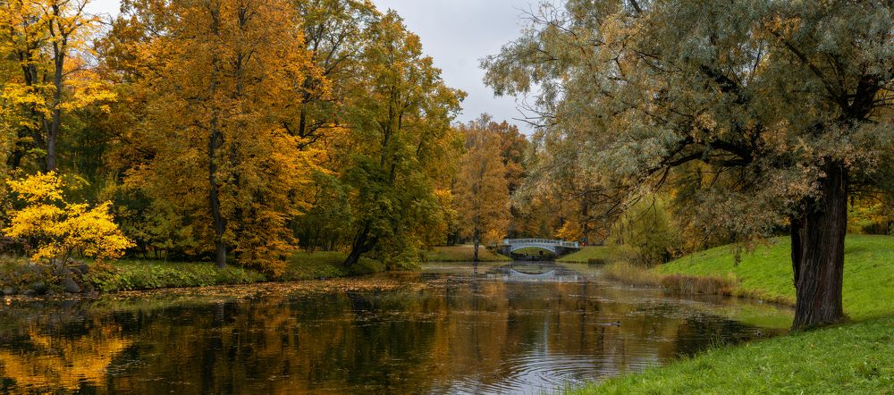 Photograph by Светлана Ващенко