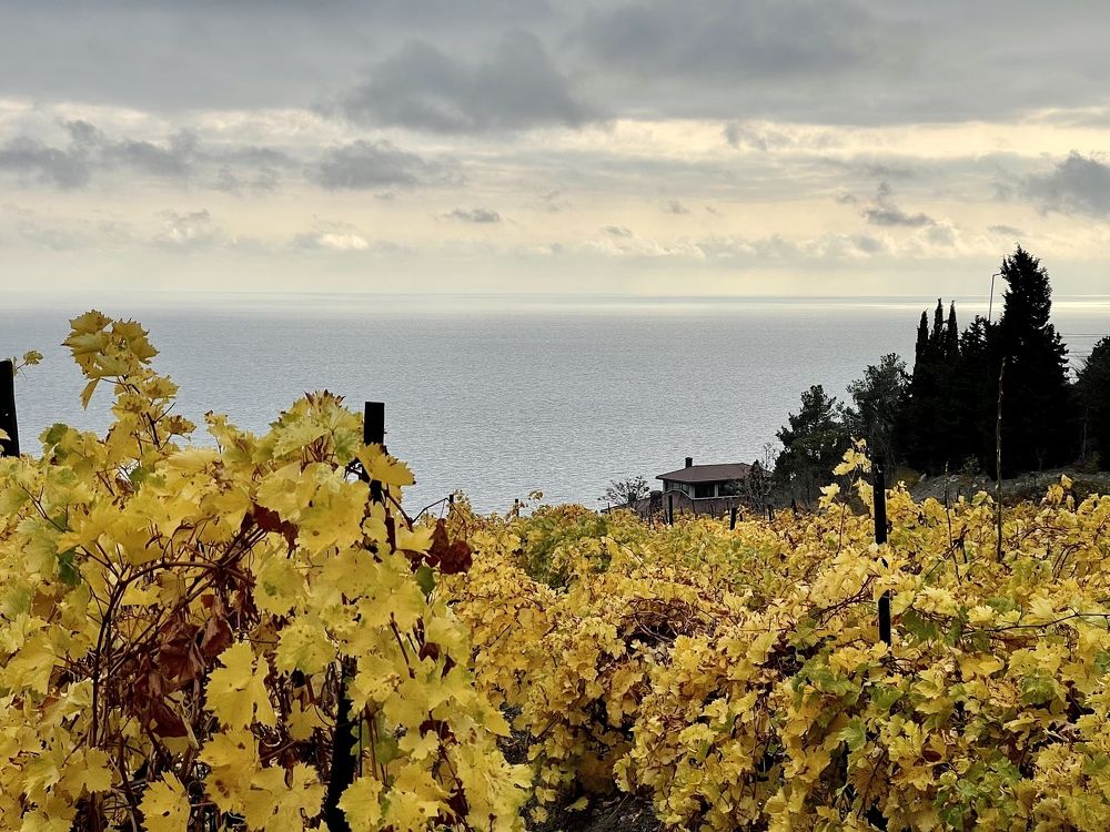 Photograph by Виктория Сметанина