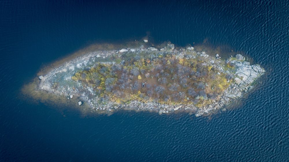 Photograph by Николаева Светлана