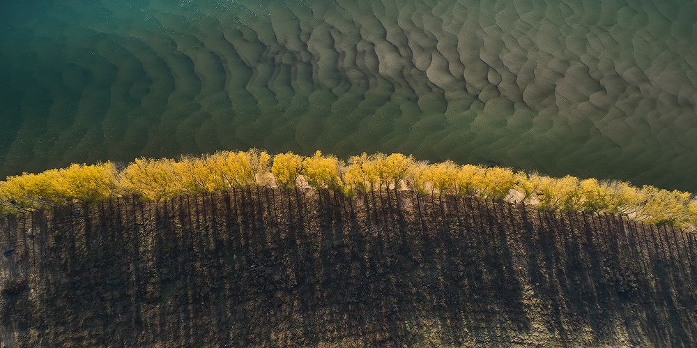 Photograph by Роман Рыбалёв