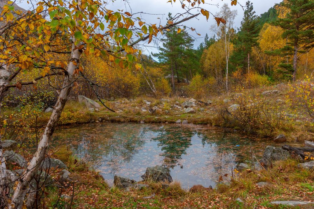 Photograph by Александра Ларинцева