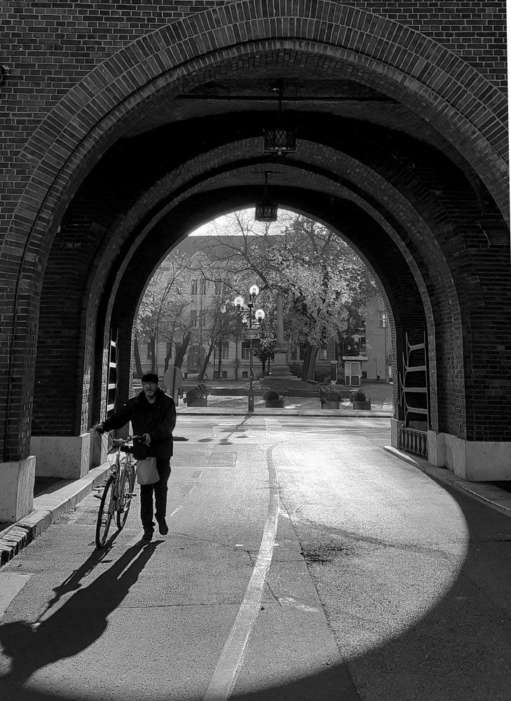 Photograph by Victoria Melnikova