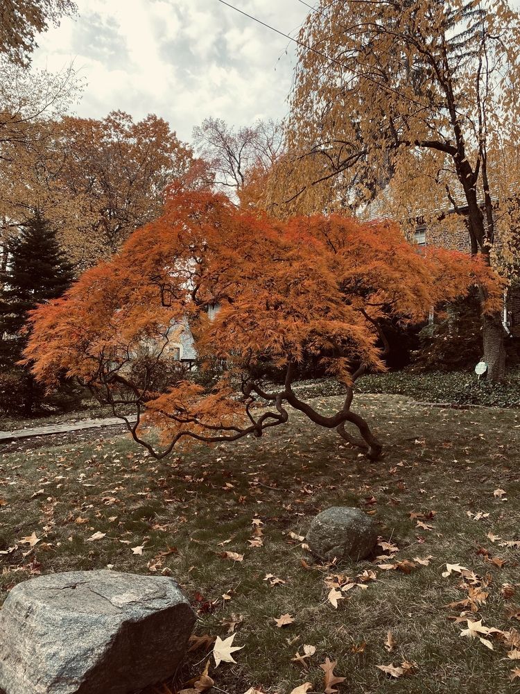 Photograph by Юлия Халяпина