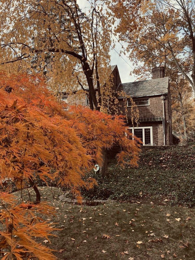 Photograph by Юлия Халяпина