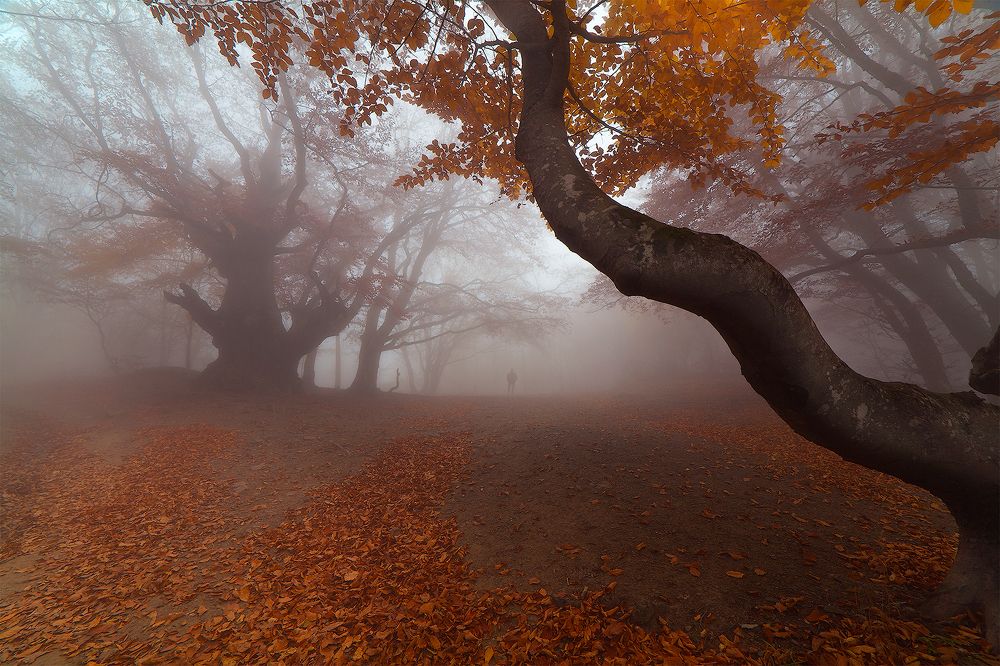 Photograph by Vladimir Kushnarev