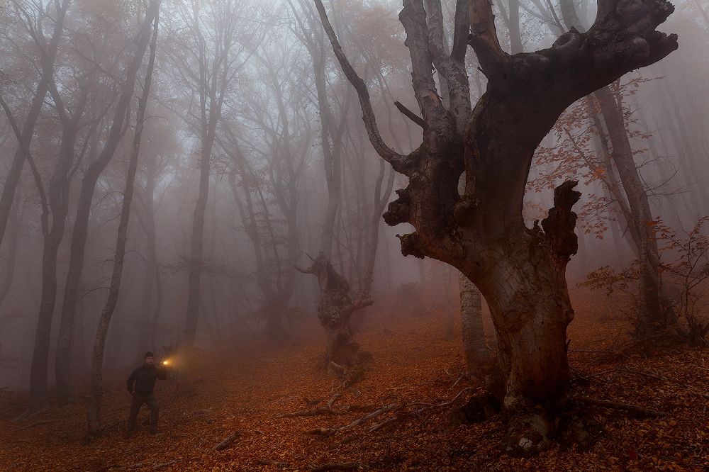 Photograph by Vladimir Kushnarev