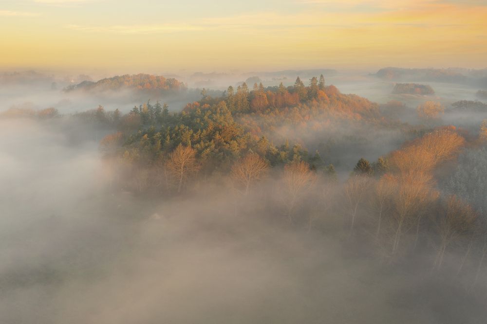 Photograph by Ernestas Balcikonis