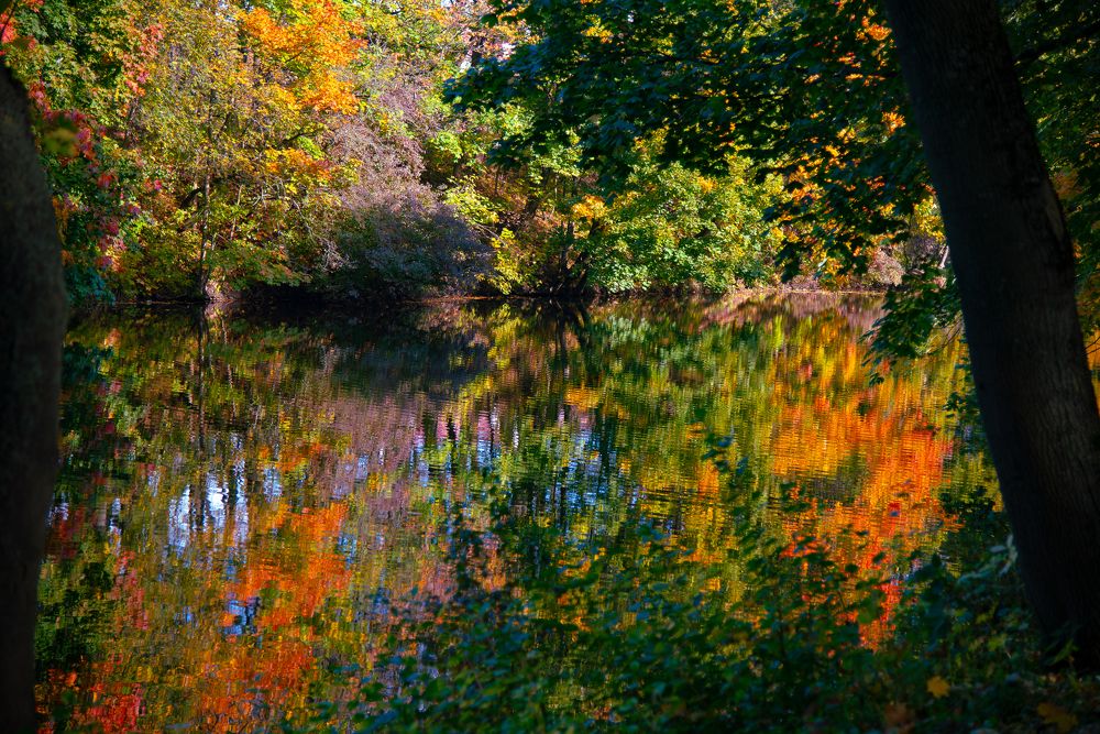 Photograph by Дмитрий Урюпин