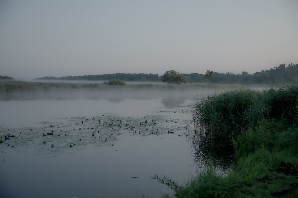 Photograph by Дмитрий Урюпин