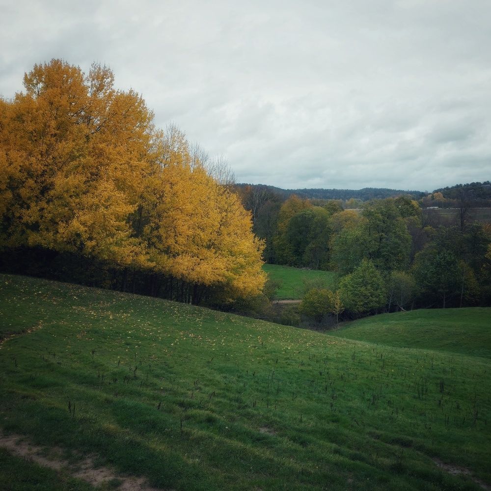 Фотография автора Alina Filimonova